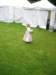 photo16_small.jpg