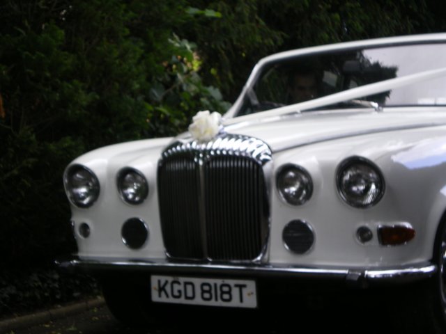 photo68.jpg