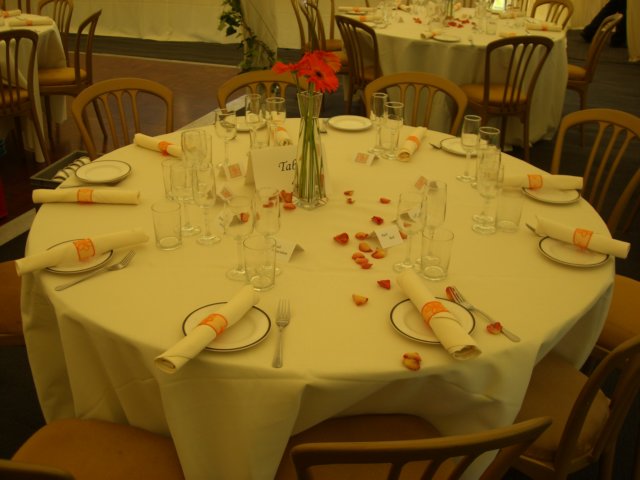 photo26.jpg