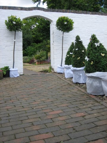 photo40.jpg